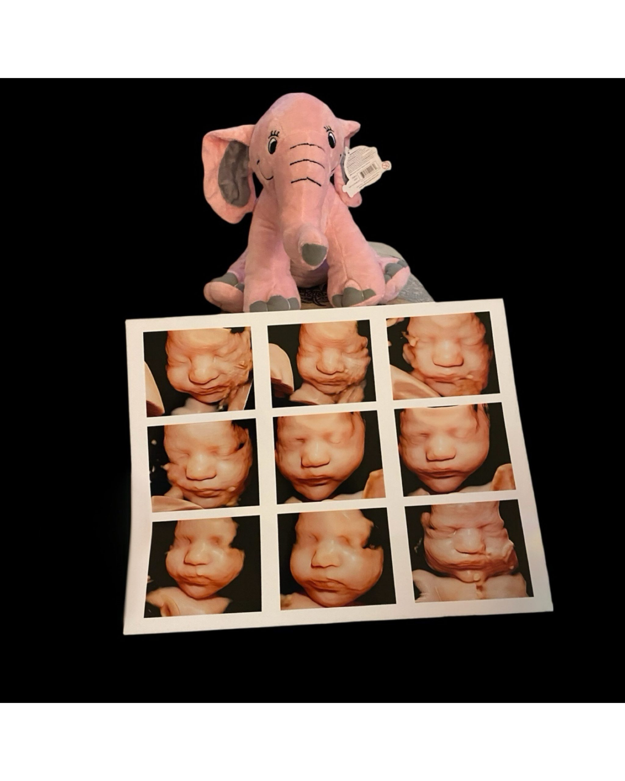 Printed 3D ultrasound photos with heartbeat stuffed animal from in-home session in North East, Maryland